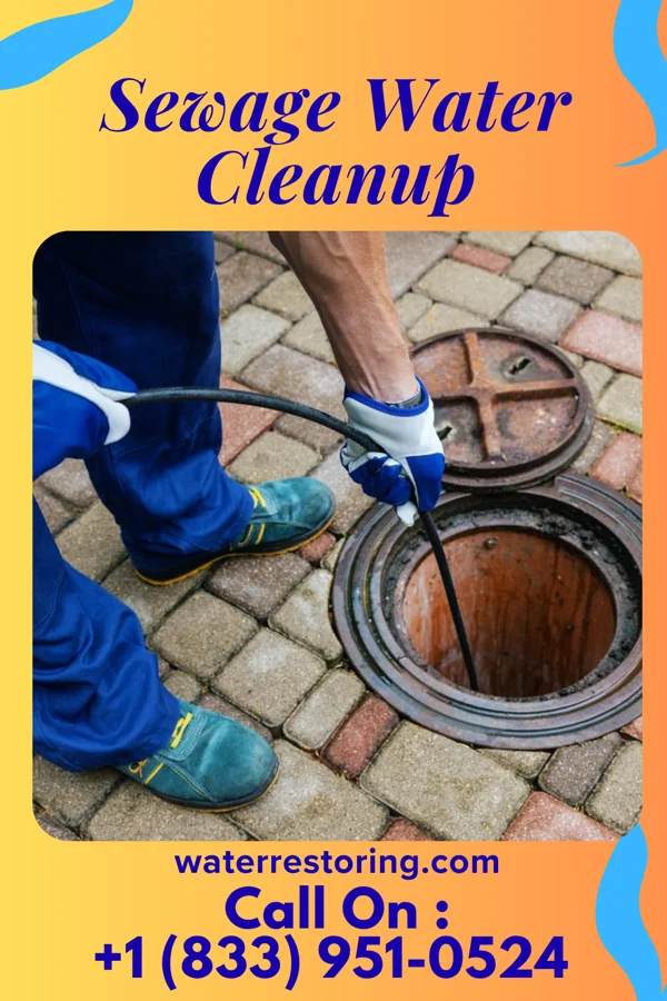 Sewage Water Cleanup in Hauser, ID